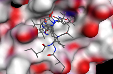 Arnold Group at the University of Wisconsin Milwaukee-Research: Virtual Screening